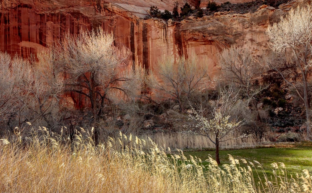 Capitol Reef NP, Utah