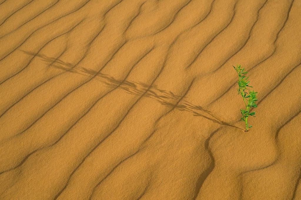 Dunes, Southern Utah