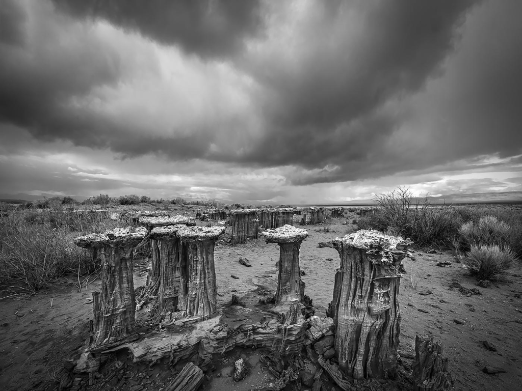 Navy Beach, Mono Lake, CA
