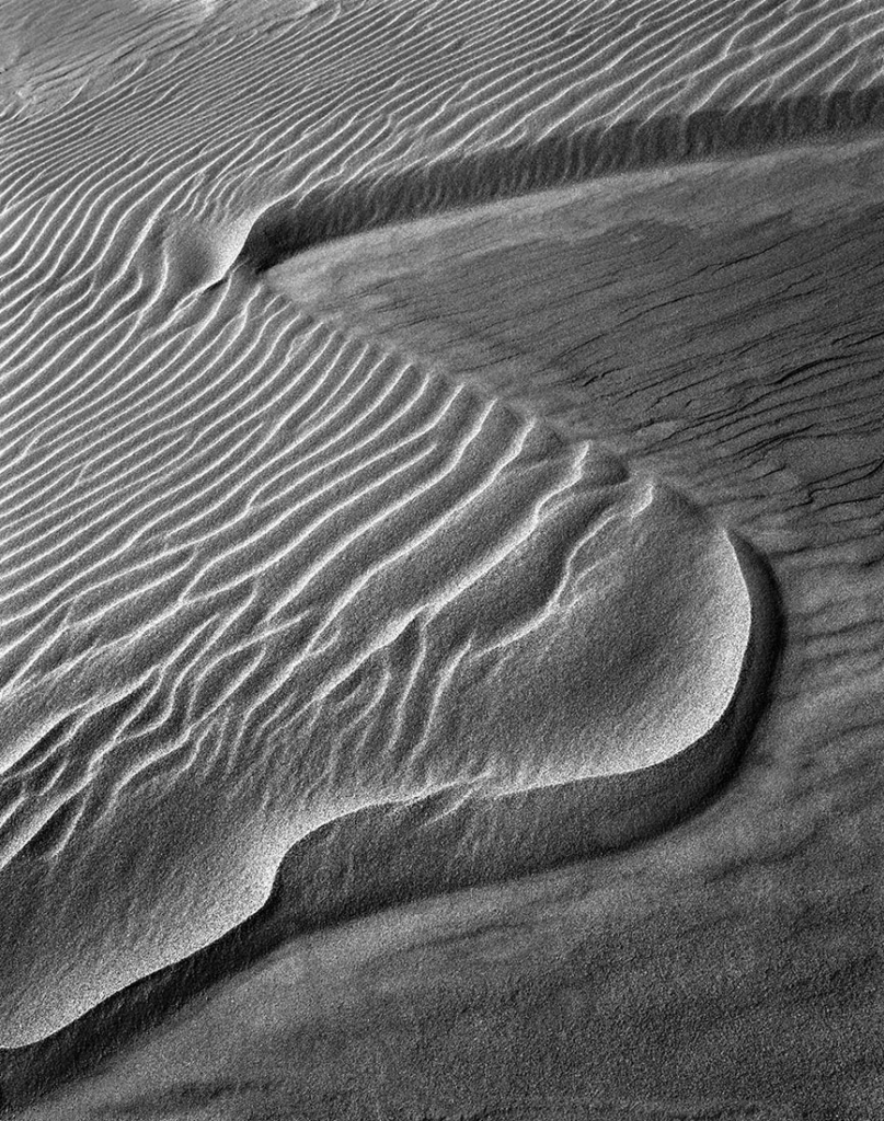Pismo Dunes, CA