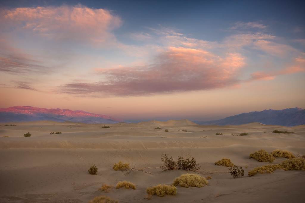 Pink Morning over Dunes
