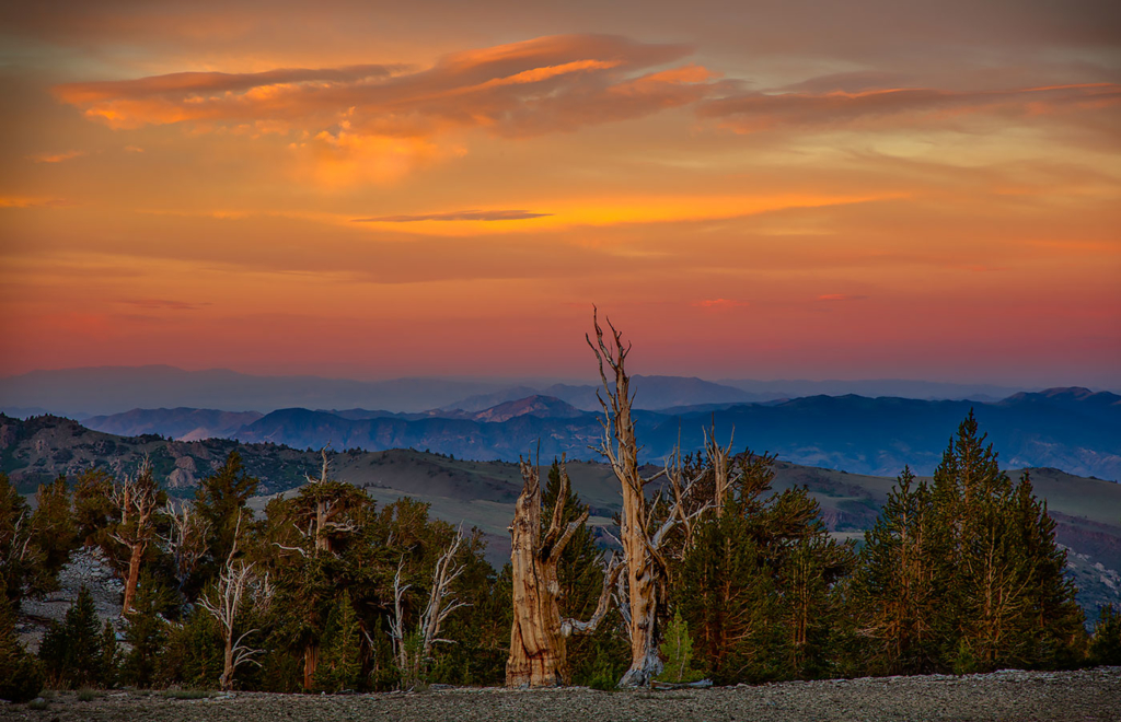 White Mountain Sunset, CA