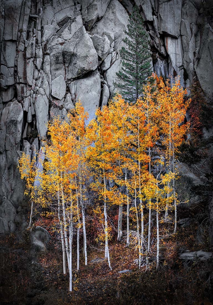 Bishop Creek Canyon, CA