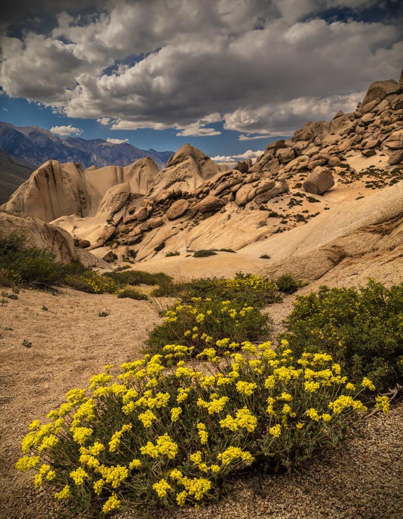 Buttermilk Hills, Eastern California
