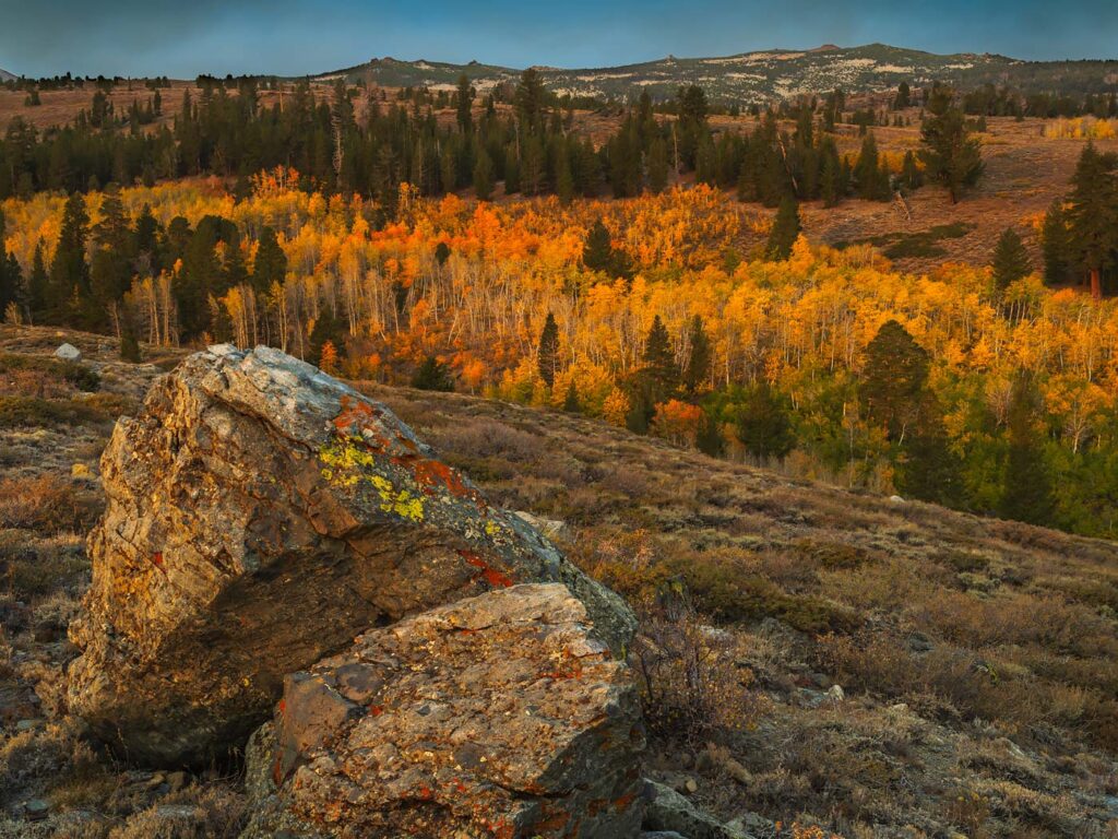 Dunderberg Meadow, CA