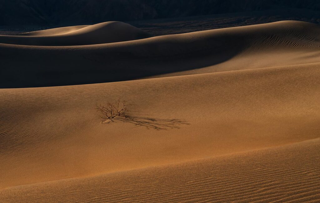 Mesquite Dunes, Death Valley, CA