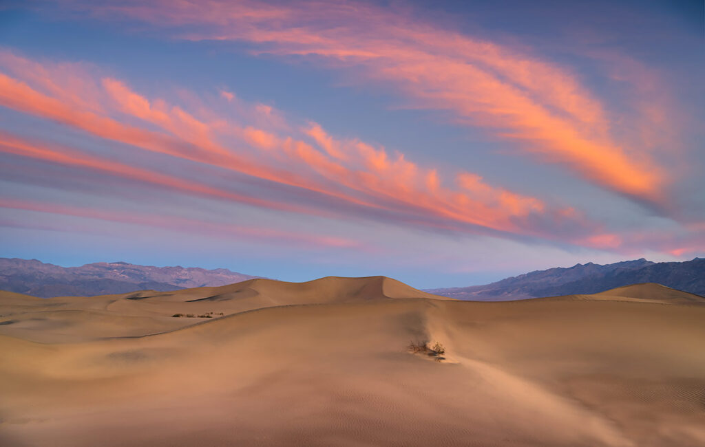 Feathers over the Mesquite Dunes, Death Valley, CA