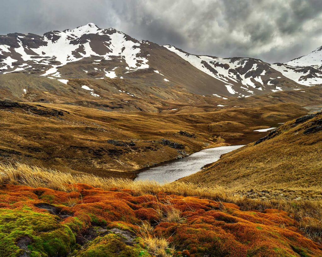Stromness Bay, South Georgia Island