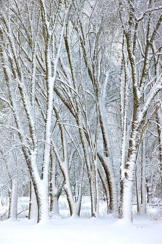 Yosemite Valley Winter