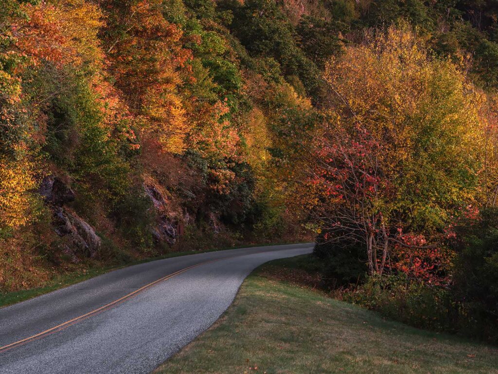 Wagon Road Gap, North Carolina