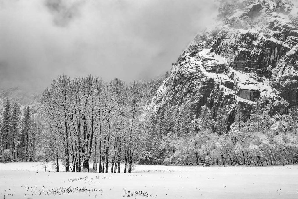 Yosemite Winter