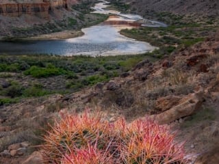 The Colorado River , Grand Canyon, AZ