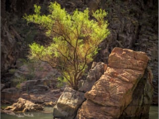 The Colorado River, Grand Canyon, AZ