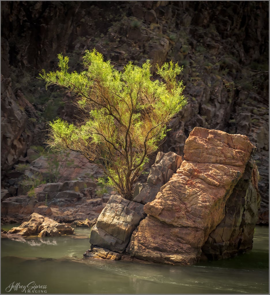 The Colorado River, Grand Canyon, AZ
