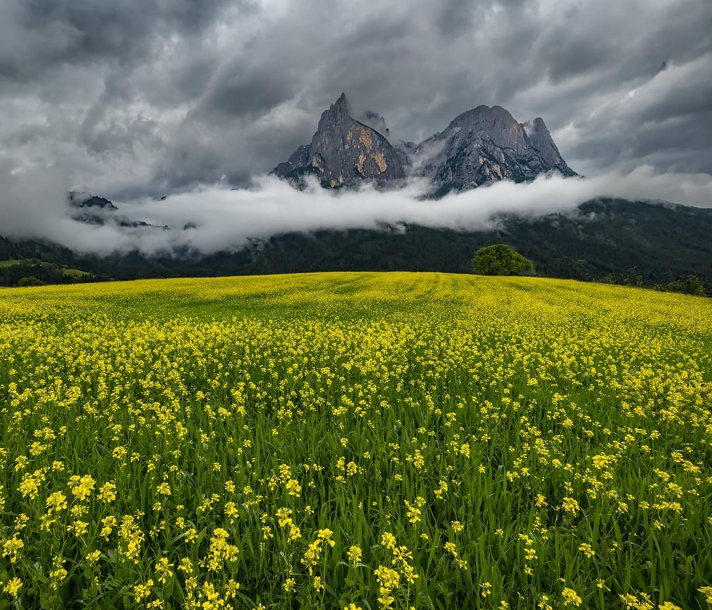 Spring in the Dolomites