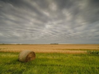 One Hay Bale, North Dakota